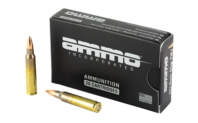 AMI223055FMJ 1